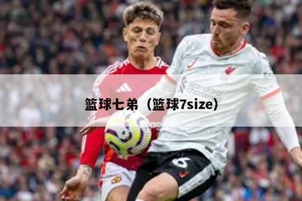 篮球七弟（篮球7size）