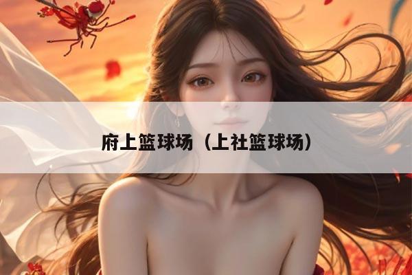 府上篮球场（上社篮球场）