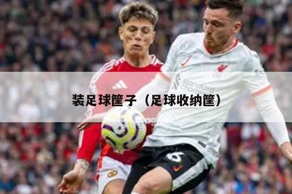 装足球筐子（足球收纳筐）