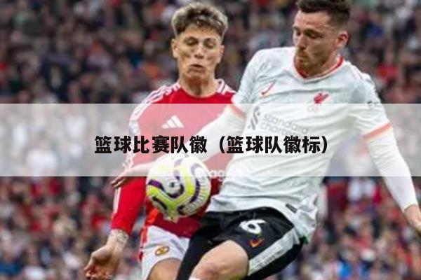 篮球比赛队徽（篮球队徽标）