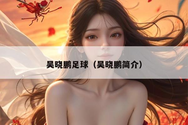 吴晓鹏足球（吴晓鹏简介）