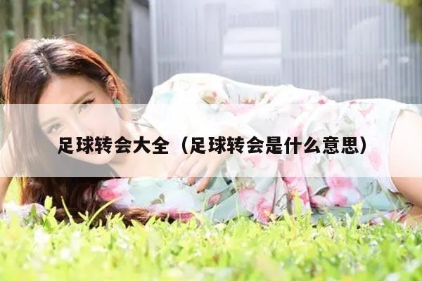 足球转会大全（足球转会是什么意思）