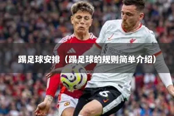 踢足球安排（踢足球的规则简单介绍）
