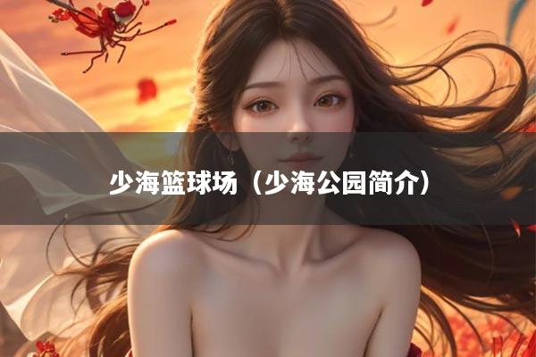 少海篮球场(少海公园简介)