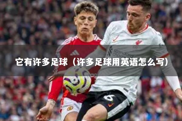 它有许多足球（许多足球用英语怎么写）
