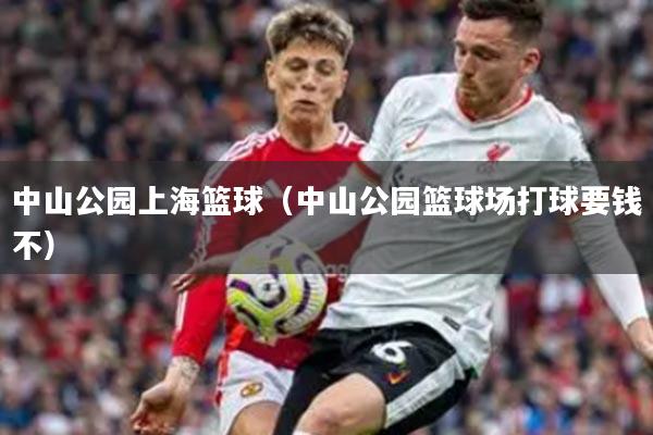 中山公园上海篮球（中山公园篮球场打球要钱不）