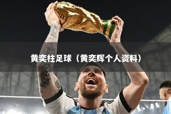 黄奕柱足球（黄奕辉个人资料）