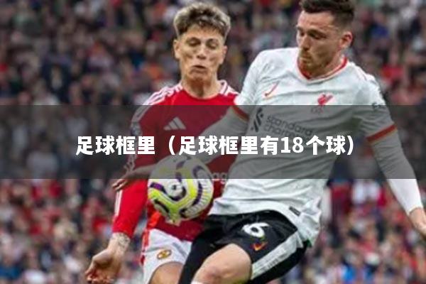足球框里（足球框里有18个球）